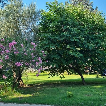 Chambre L'Orchidee Vallon-Pont-dʼArc Dış mekan fotoğraf