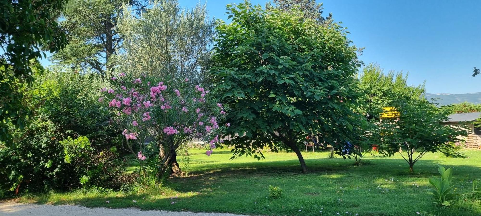 Chambre L'Orchidee Vallon-Pont-dʼArc Dış mekan fotoğraf