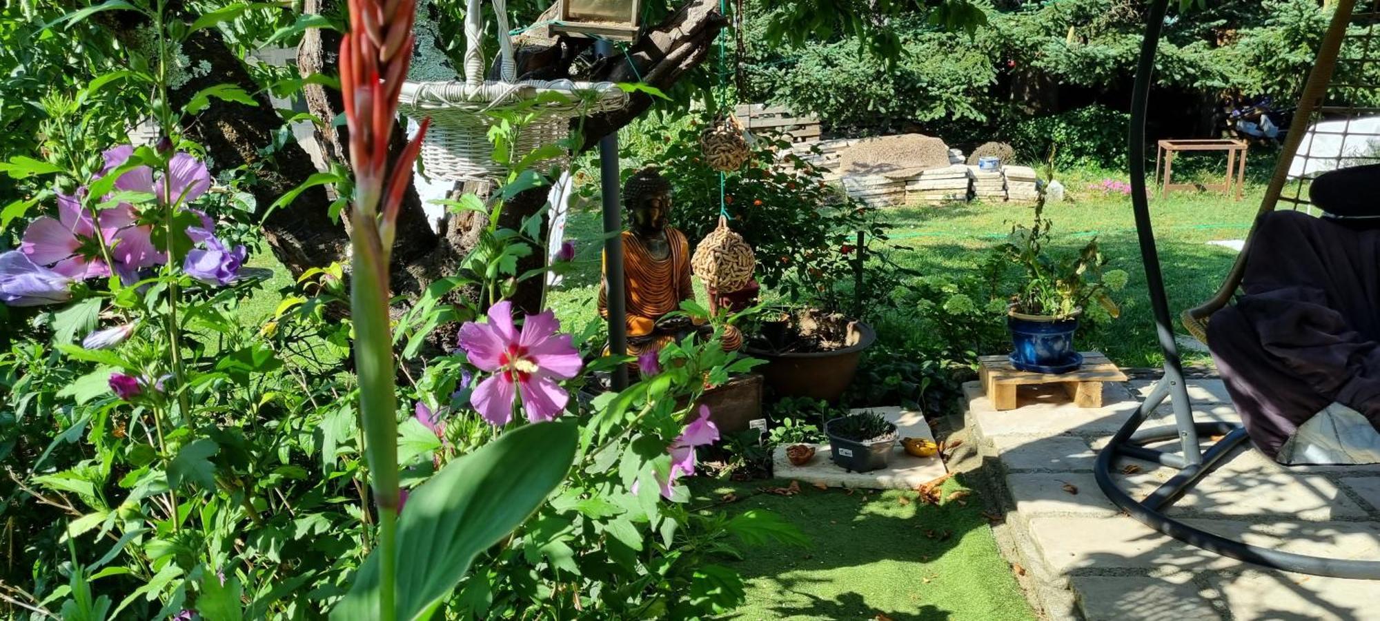 Chambre L'Orchidee Vallon-Pont-dʼArc Dış mekan fotoğraf
